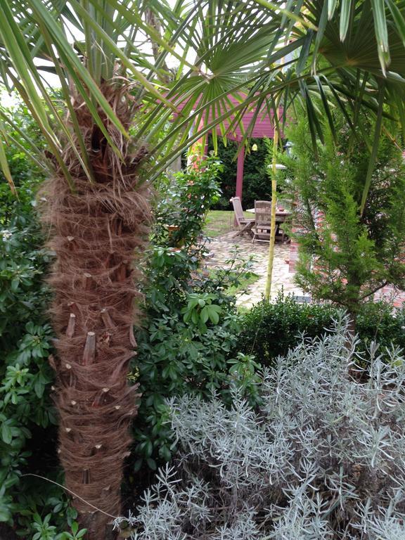 Les Jardins Carnot Compiegne Ruang foto